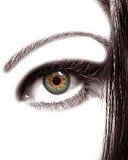 eye