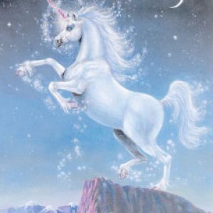 Unicorn