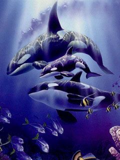 Whale