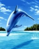 delphin