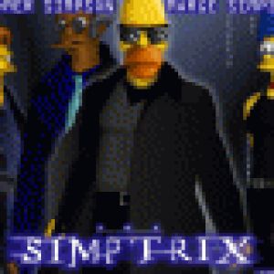 Simptrix