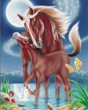 Horse