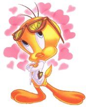 - - wallpaper preview