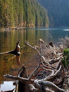 Certovo-jezero-Cesky-les