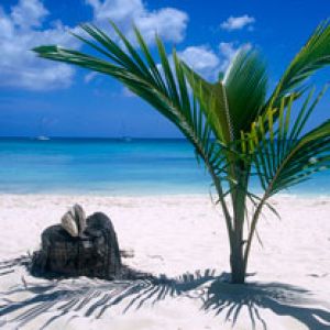 Dominican Republic