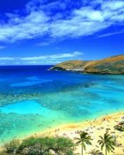 - - wallpaper preview