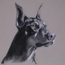 doberman
