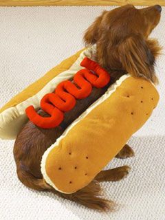 Hot Dog Ketchup small