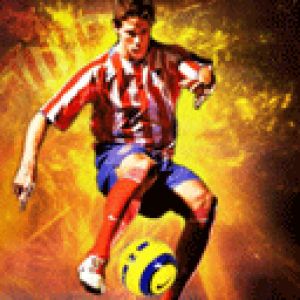 Fernando Torres