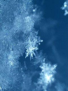 - - wallpaper preview