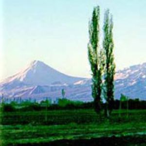 Ararat