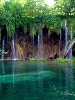 - - wallpaper preview