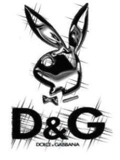PlayBoy & D&G