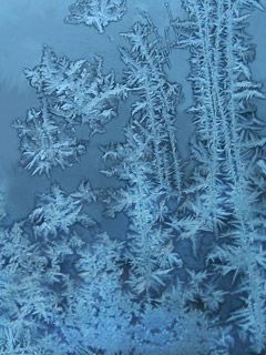 Winter Freeze