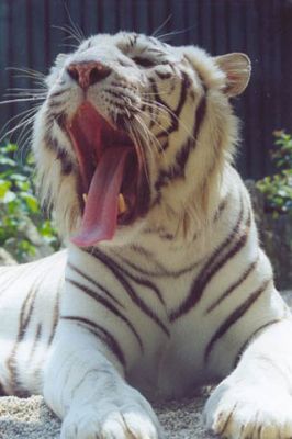 Liberec ZOO