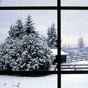 Winter Depression