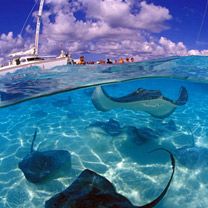 Grand Cayman  - wallpaper preview