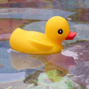 Yellow Rubber Duck 