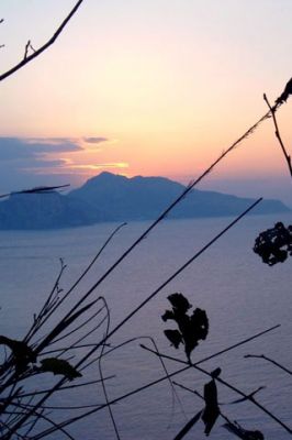 Capri