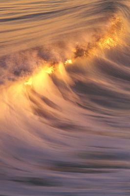 - - wallpaper preview