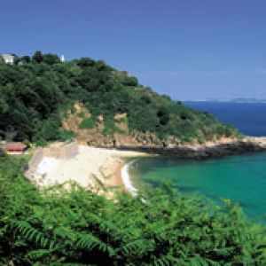 Guernsey