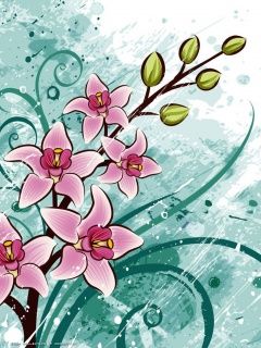 Orchid