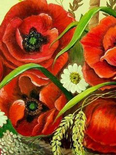 Poppy