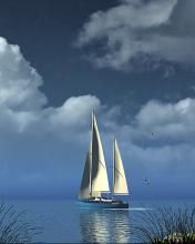 - - wallpaper preview