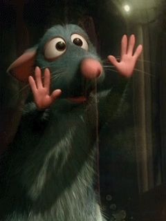 Ratatouille