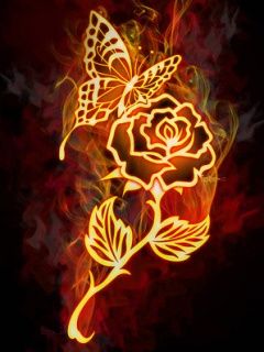 Flower Abstract