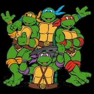 The Turtles
