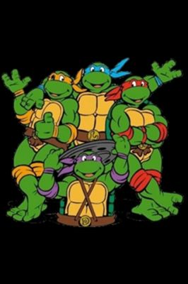 The Turtles 