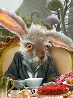 Alice in Wonderland