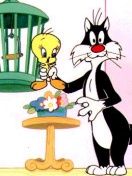 Sylvester und Tweety