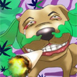 Lustiger Cartoon Hund