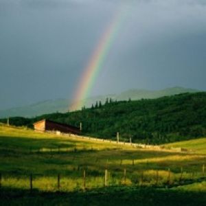 Regenbogen Über Grünen Hügeln