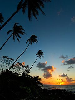 Tropischer Sonnenuntergang mit Palmen