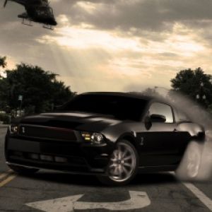 Schwarzer Mustang in Aktion