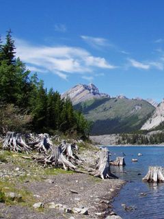 Ruhiger Bergsee