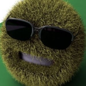 Lustige Grasball mit Sonnenbrille