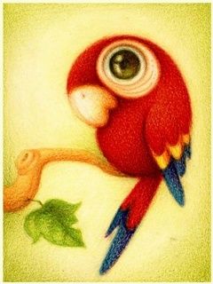 Bunte Papageienillustration