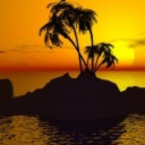 Tropischer Sonnenuntergang mit Palmen