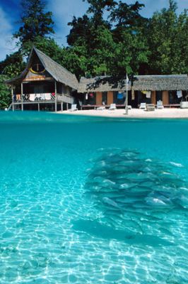 Tropisches Paradies mit Fischen