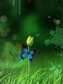 Schmetterling auf Blume