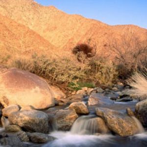 Ruhiger Bergbach
