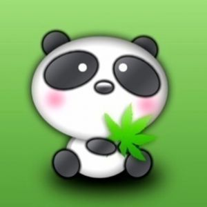 Niedlicher Panda mit Blatt