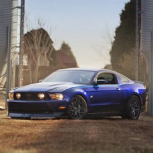 Blauer Mustang