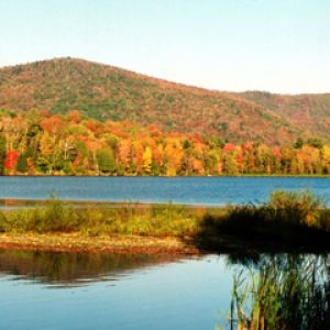 Herbstsee Landschaft