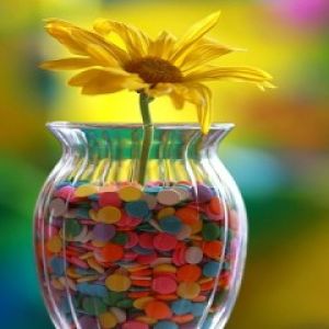 Bunter Blume in Vase