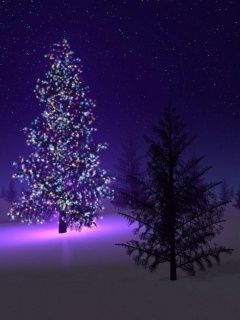 Bunter Weihnachtsbaum